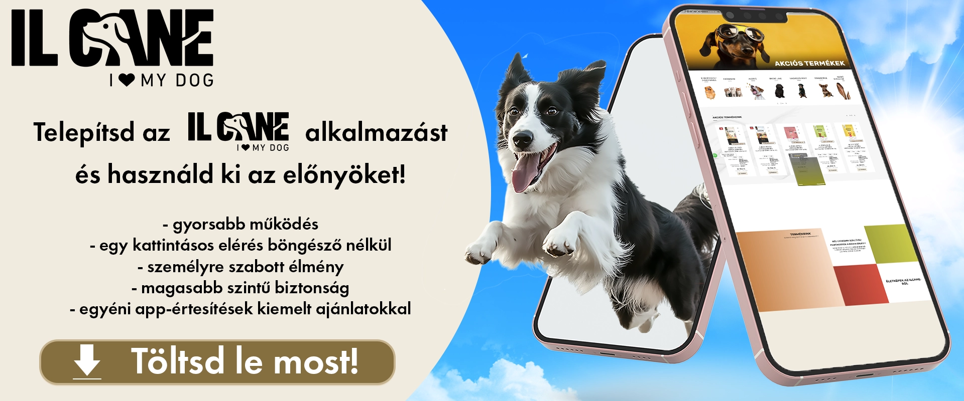 Ilcane