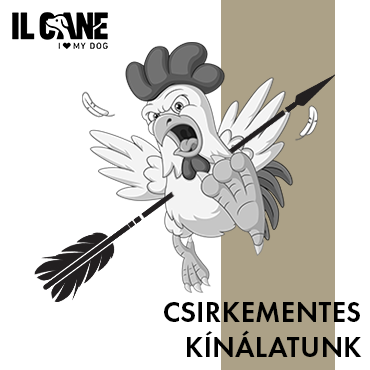 Ilcane