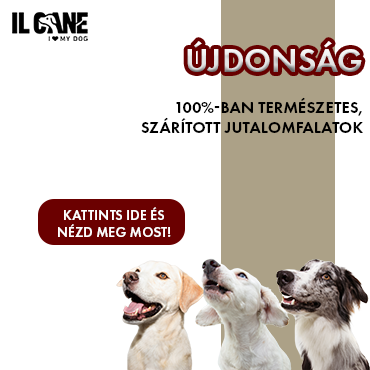 Ilcane