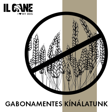Ilcane
