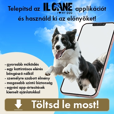 Ilcane