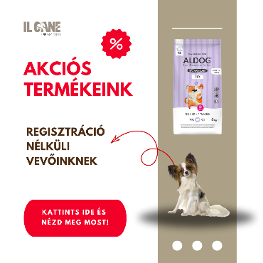 Ilcane