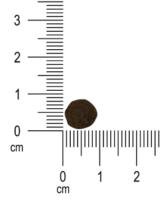 Ibero NATURAL dog MEDIUM JUNIOR 12 KG