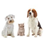 - ÖSSZES TERMÉKÜNK