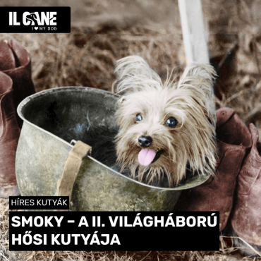 Smoky – A második világháború hősi kutyája