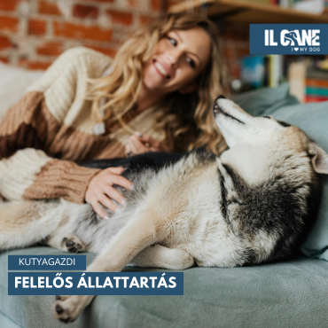 Felelős állattartás: amikor egy kutya egy életre szóló ígéret