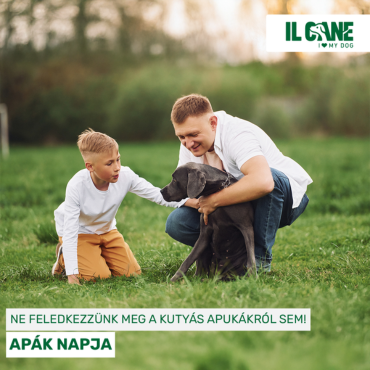 Apák napja – Ne feledkezzünk meg a kutyás apukákról sem!