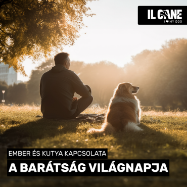 Boldog barátság világnapját kívánunk!