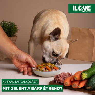 BARF étrend kutyáknak – Divathóbort vagy valódi egészségmegőrzés?
