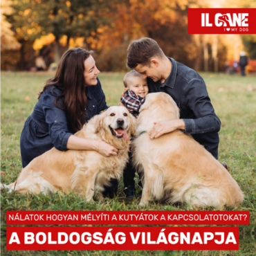 Boldogság Világnapja – Ünnepeljük együtt négylábú barátainkkal!