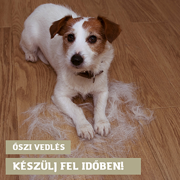 Őszi vedlés - Készüljetek fel időben!